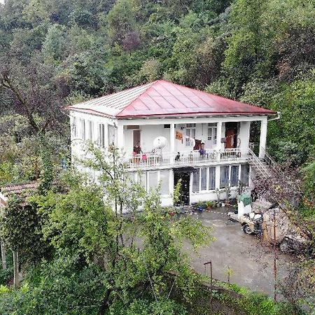 Guest House And Cellar Winery In Ortabatumi Batumi Georgia Εξωτερικό φωτογραφία