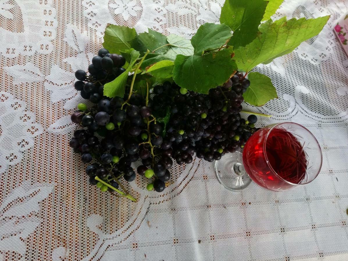 Guest House And Cellar Winery In Ortabatumi Batumi Georgia Εξωτερικό φωτογραφία