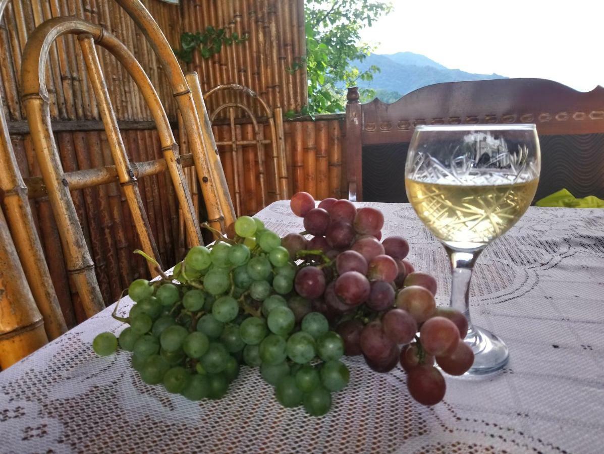Guest House And Cellar Winery In Ortabatumi Batumi Georgia Εξωτερικό φωτογραφία